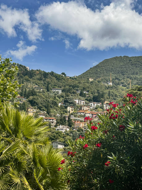 istock Picturesque Village in Bloom 2195294420