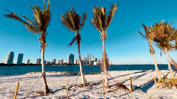 istock Skyline of Miami downtown 2195295106