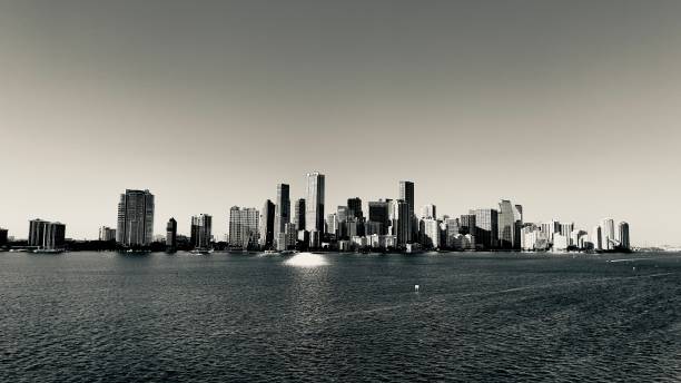 istock Skyline of Miami downtown 2195295298