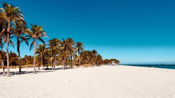 istock Key biscane Florida Miami Beach Baywatch January 2025 2195296071