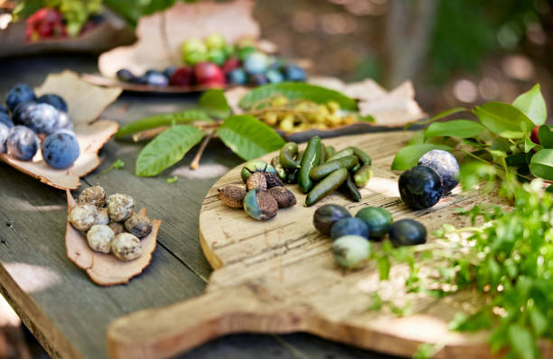 istock Traditional bush tucker displayed on bark and cutting board 2195297526