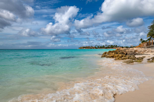 Divi Beach in Aruba features soft sands and gentle waves under a bright sky. Visitors can enjoy serene moments while soaking in the tropical atmosphere and stunning natural beauty.
