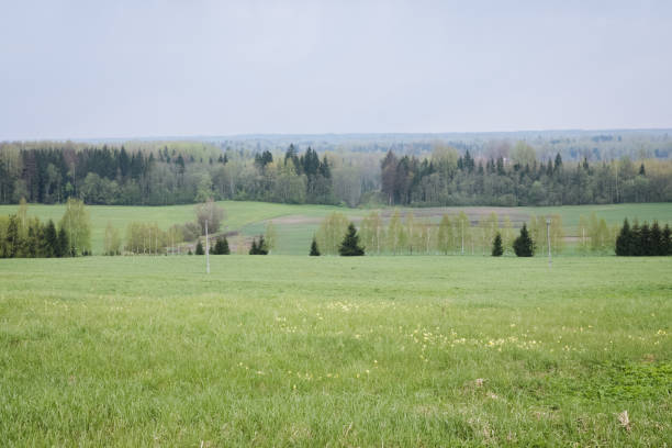 istock Spring landscape in a rural area in light green tones with various trees. 2195300903