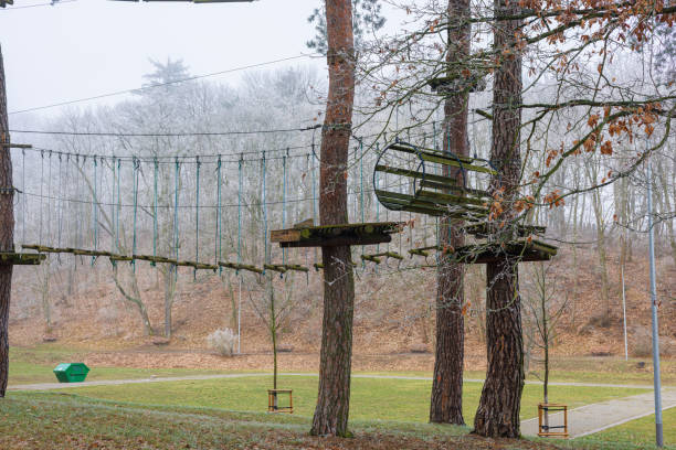 istock Three trees in a rope park with stretched cables and ropes. Platforms and bridges above the ground. 2195300905