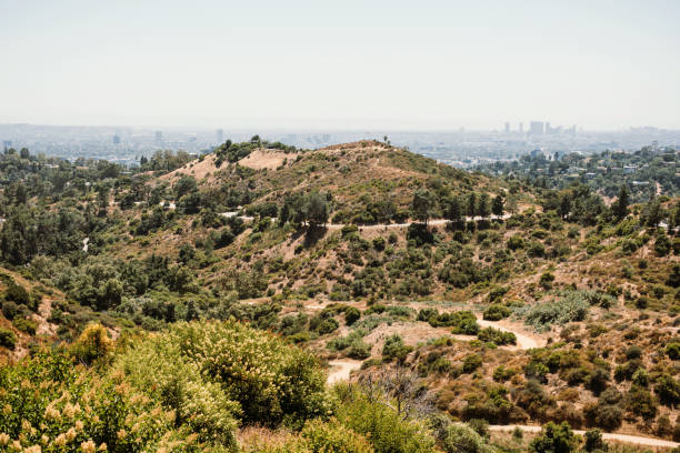 istock Park around Griffith Observatory and Los Angeles city skyline 2195302542