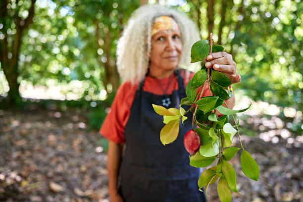 istock Mature agriculturalist holding branch with rose apple 2195303630