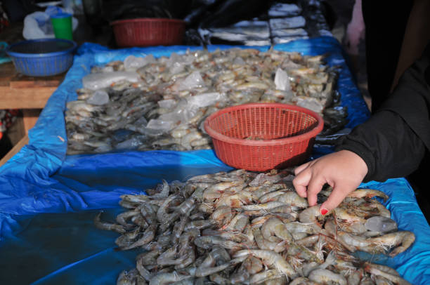 woman's hands are choosing shrimp at the market