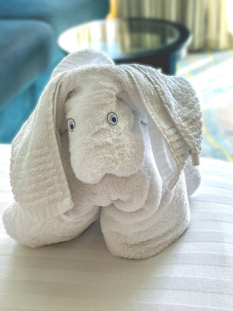 istock towel animal on a cruise 2195304496