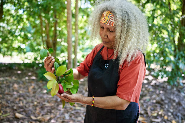 istock Australian agriculturalist holding branch with water apple 2195304507