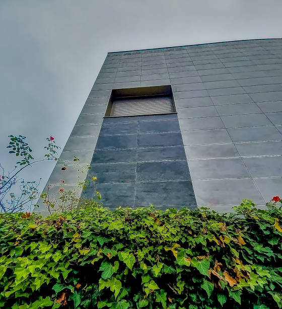 istock facade of a modern style house 2195308292