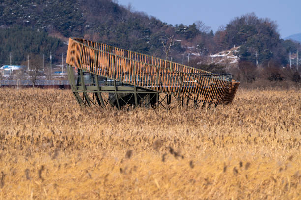 istock observatory in the reed field 2195308817