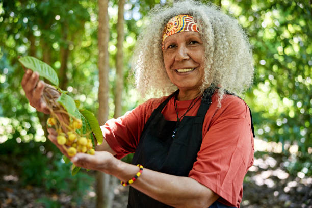 Aboriginal bush tucker guide holding Native Tamarind