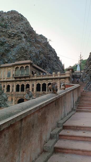 istock Galta Ji Temple, known as Monkey Temple in Jaipur, India 2195309328