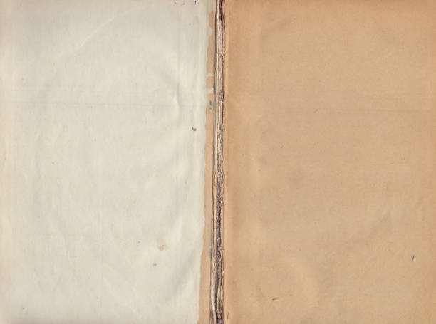 istock Vintage empty background of old book paper texture 2195309383