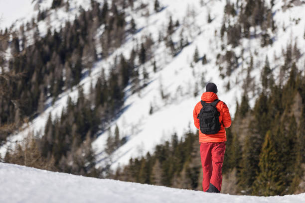 istock Man hiking in snowy landscape 2195311729