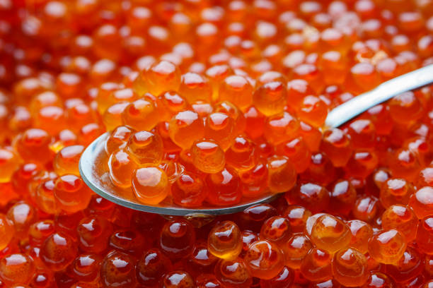istock Salted chum salmon roe. Ikura. 2195313403