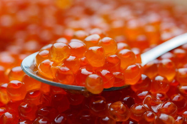 istock Salted chum salmon roe. Ikura. 2195313406