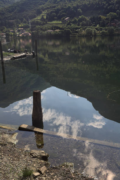 istock Lakeshore and a mooring pole 2195317143