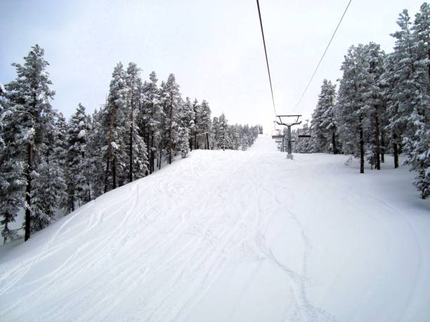 istock Chairlift going through snow covered trees at ski resort 2195318935