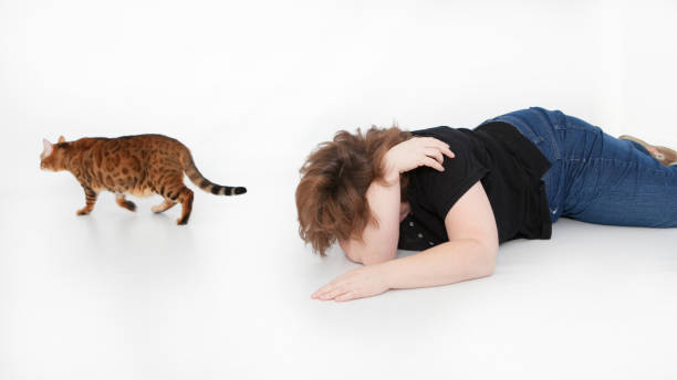 istock human trying to herd cats 2195319490
