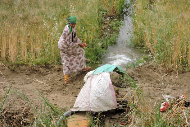 Nile, Egypt - March 28 2015 A woman is busy pumping water from the Nile into her field