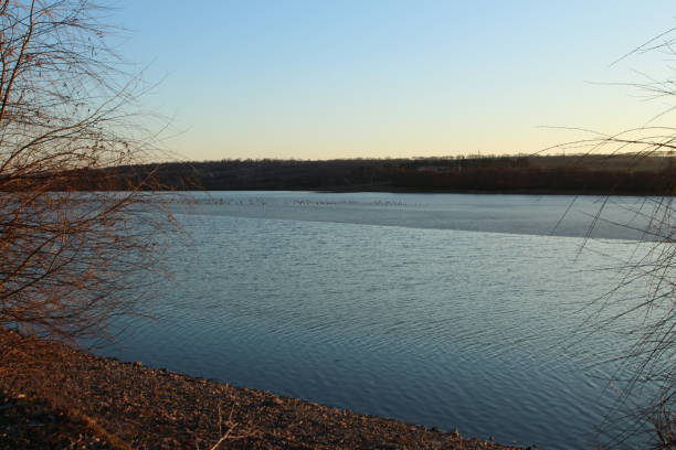 A body of water with trees around it. Outdoor. Sky. Water. River. Nature