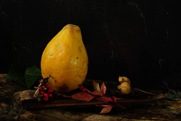 Autumn Still Life in chiaroscuro