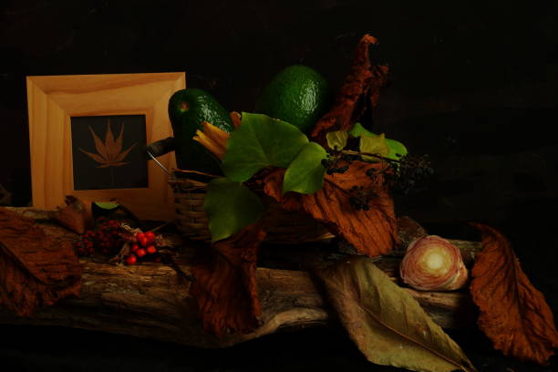 istock Autumn Still Life in chiaroscuro 2195325687