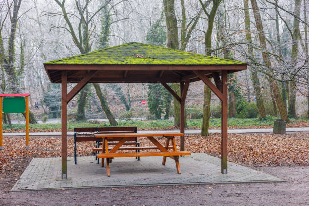 istock A gazebo with a moss-covered roof in an autumn park. A table with benches inside the gazebo. 2195327607