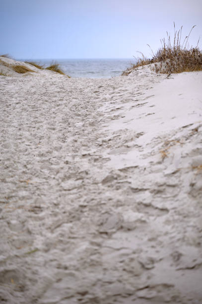 A beach with sand and a sea. Lomma, Sweden, 2025. High quality photo