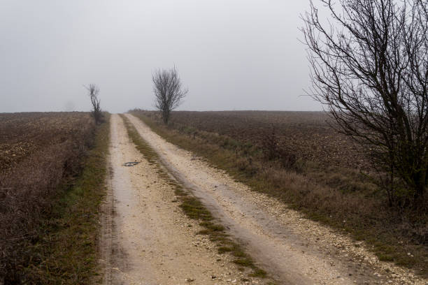 Landscape with ground road through fields during foggy day in snowless winter season