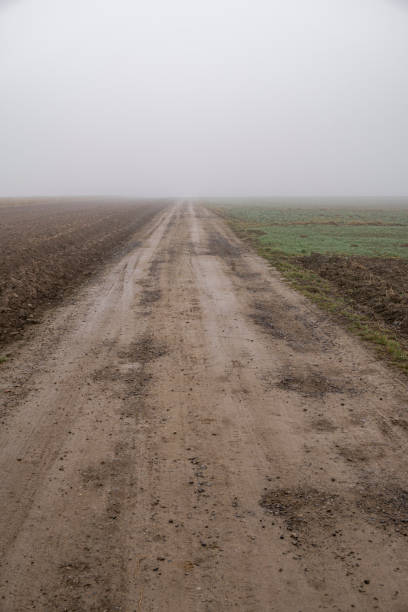 Landscape with ground road through fields during foggy day in snowless winter season