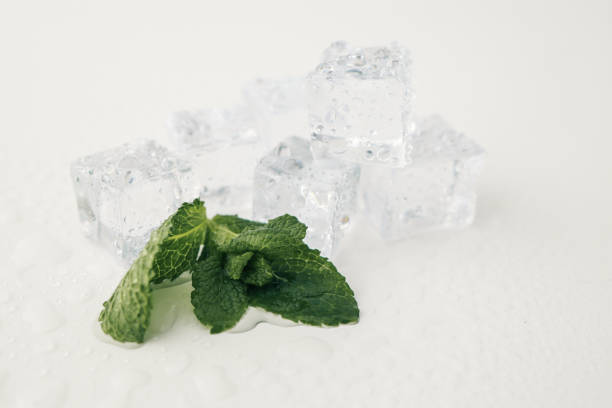 Mint leaves. Fresh mint on white background. Mint leaf isolated