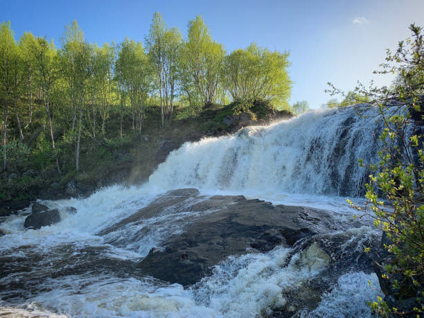 istock Waterfall in the forest near Murmansk, Russia, June 2019 2195333678