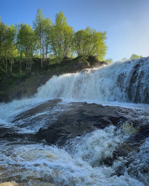 istock Waterfall in the forest near Murmansk, Russia, June 2019 2195333680
