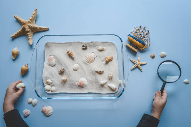 istock Flat lay of a sensory activity with a glass dish filled with sand and seashells, accompanied by a magnifying glass and a starfish on a light blue background. Perfect for creative and educational play 2195333749