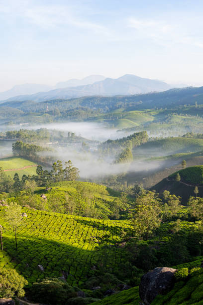 istock Panoramic view over Munnar tea plantations at sunrise in Kerala, India 2195333880