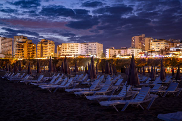 A scenic afternoon view of Praia da Rocha beach with neatly arranged empty sunbeds facing the ocean. The sky displays a soft pastel hue, creating a peaceful vacation atmosphere.