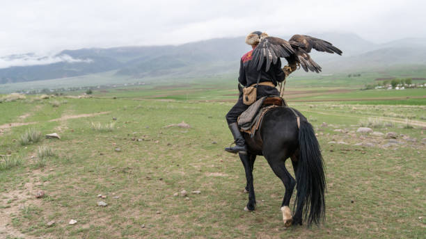 Issyk Kul, Kyrgyzstan - 23 May 2022: Eagle trainer on horseback with his golden eagle, showcasing traditional hunting techniques passed down through generations.
