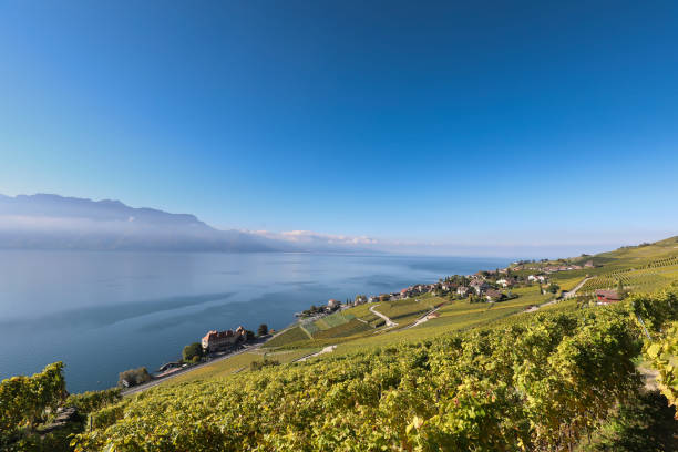 istock Hiking in the vineyards 2195339960