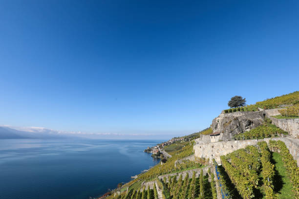 istock Hiking in the vineyards 2195339980