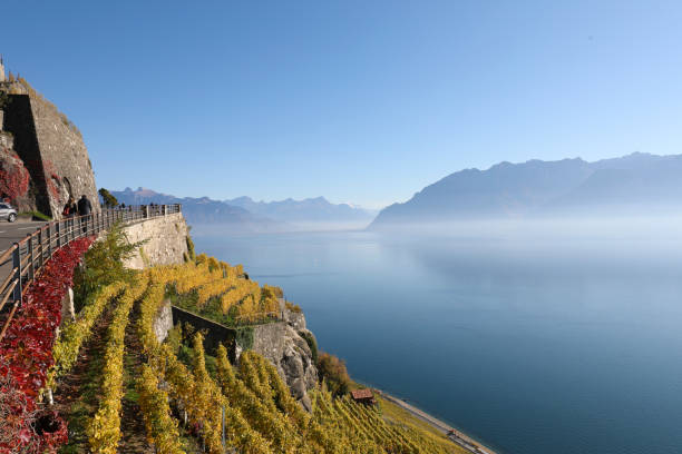 istock Hiking in the vineyards 2195340004