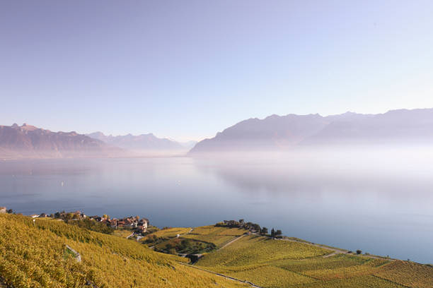 istock Hiking in the vineyards 2195340027