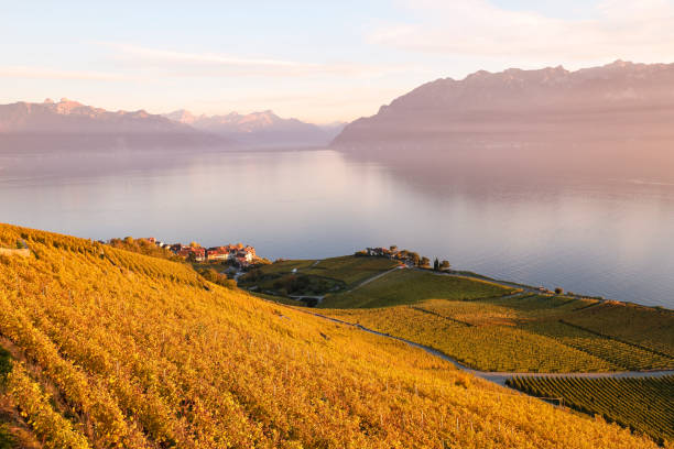 istock Hiking in the vineyards 2195340041