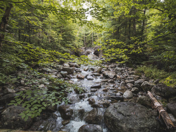 Avalanche Lake Adirondack Hike New York