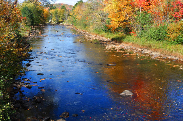 istock autumn colorful forest on both sides of river with blue sky reflection in river 2195344681