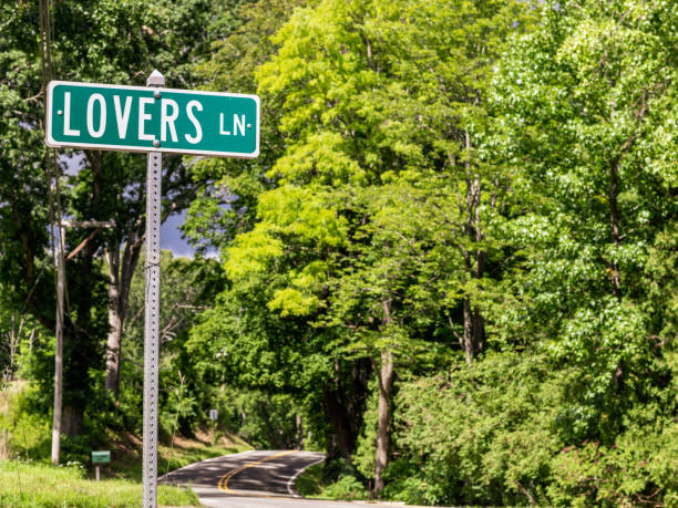 istock Lovers Lane Road Sign Natural Green Background with Copy Space 2195345431