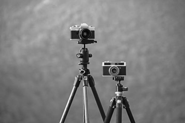 Vintage SLR film cameras, outdoors, Slightly toned image