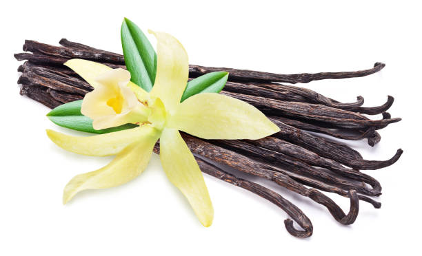 istock Vanilla flower and beans or vanilla sticks isolated on white background. 2195352097
