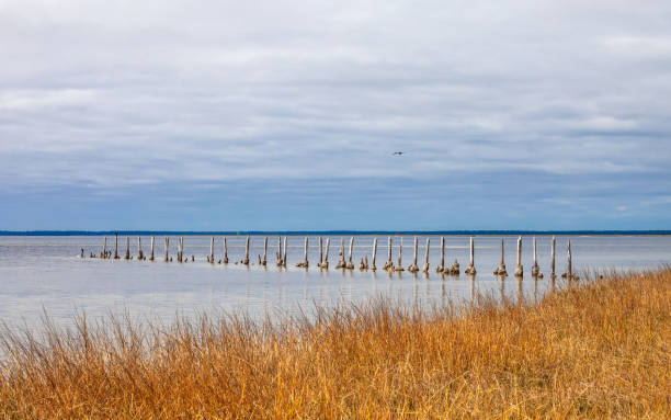 St. Marks National Wildlife Refuge landscape near Tallahassee. Florida, USA